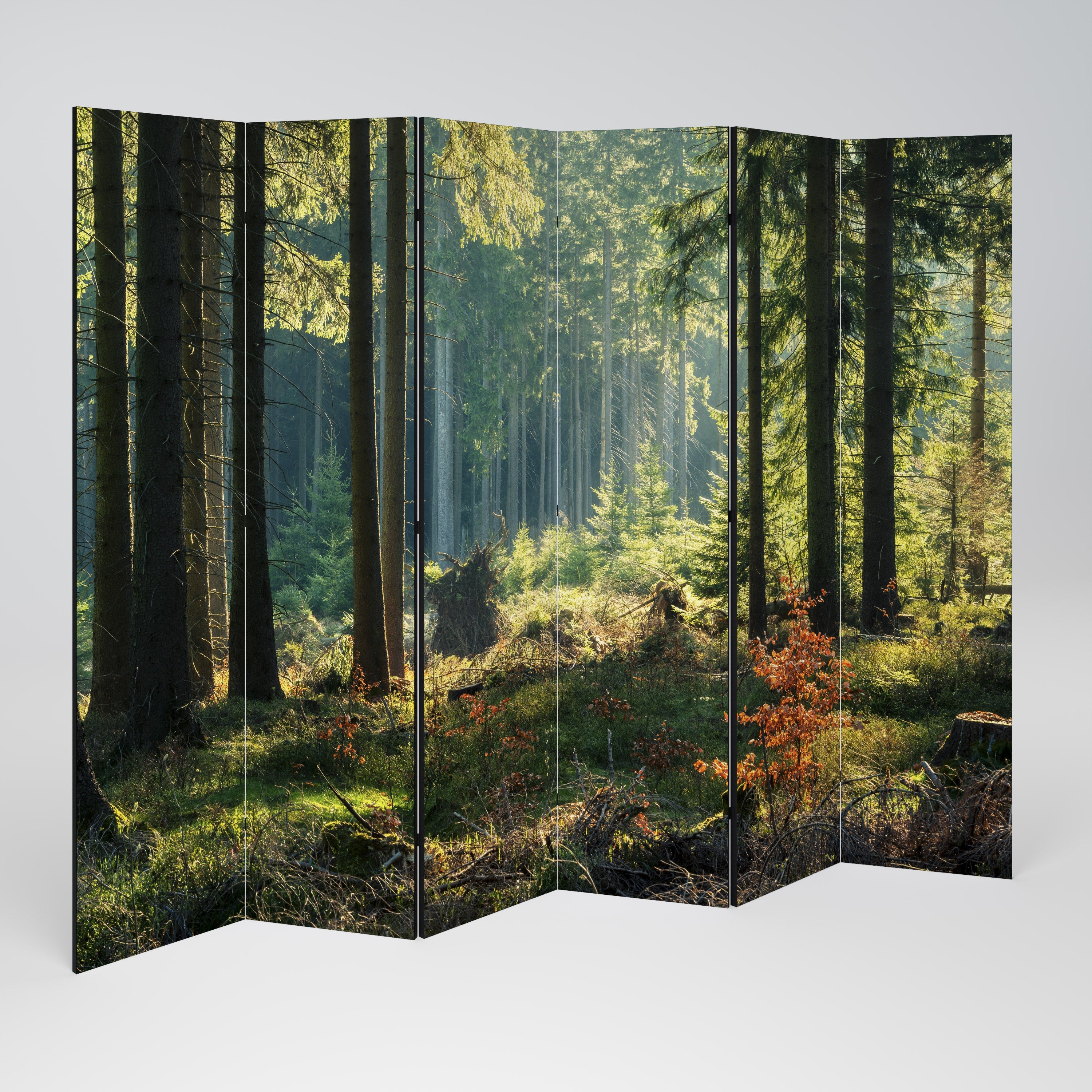 SUNLIT FOREST SERENADE Dekorativer 6-teiliger Raumteiler