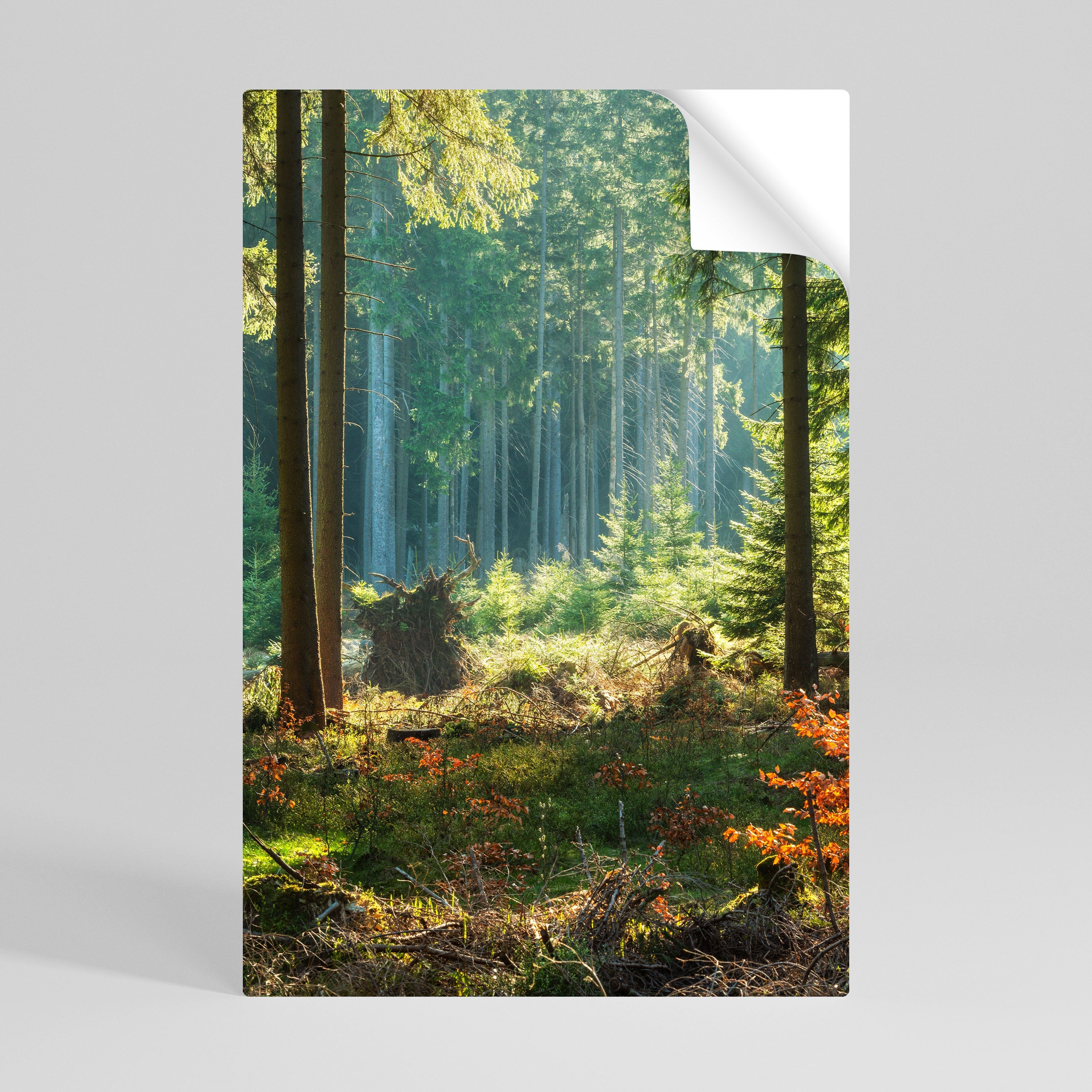 SUNLIT FOREST SERENADE Vertikales Poster zum Abziehen und Aufkleben