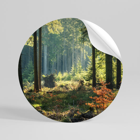 SUNLIT FOREST SERENADE Peel and Stick Round Sticker