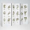 WHISPERS OF WILD HERBS 6-teiliger Paravent