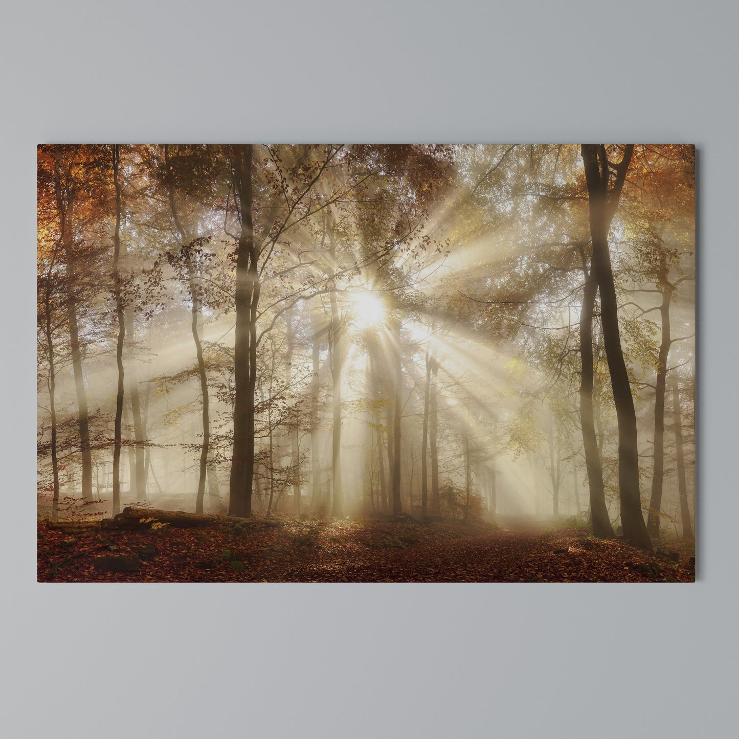 WHISPERS OF AUTUMN Horizontal Canvas Print