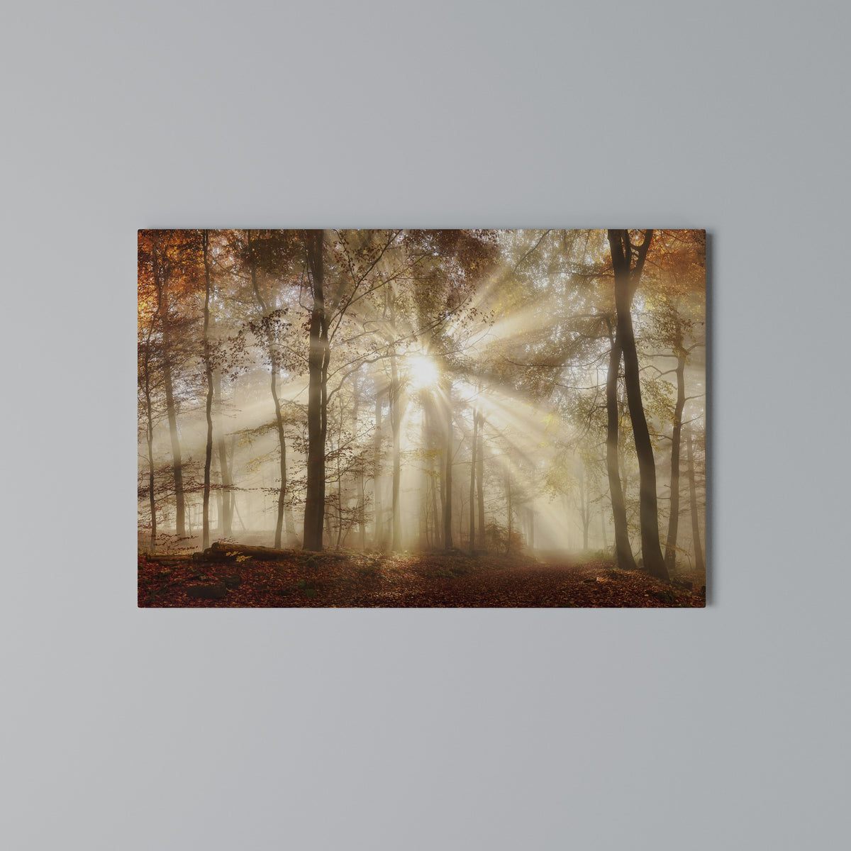 WHISPERS OF AUTUMN Horizontal Canvas Print