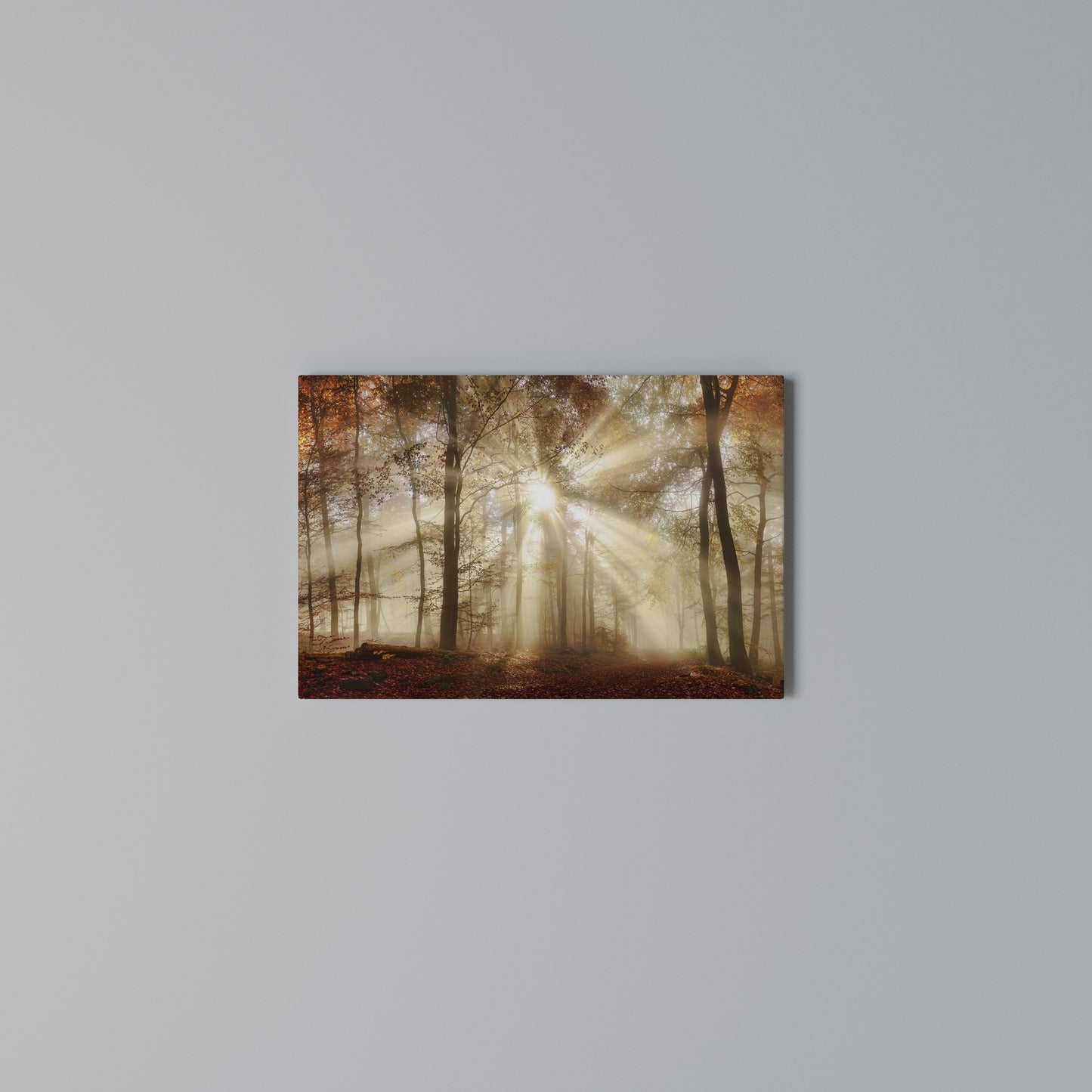WHISPERS OF AUTUMN Horizontal Canvas Print