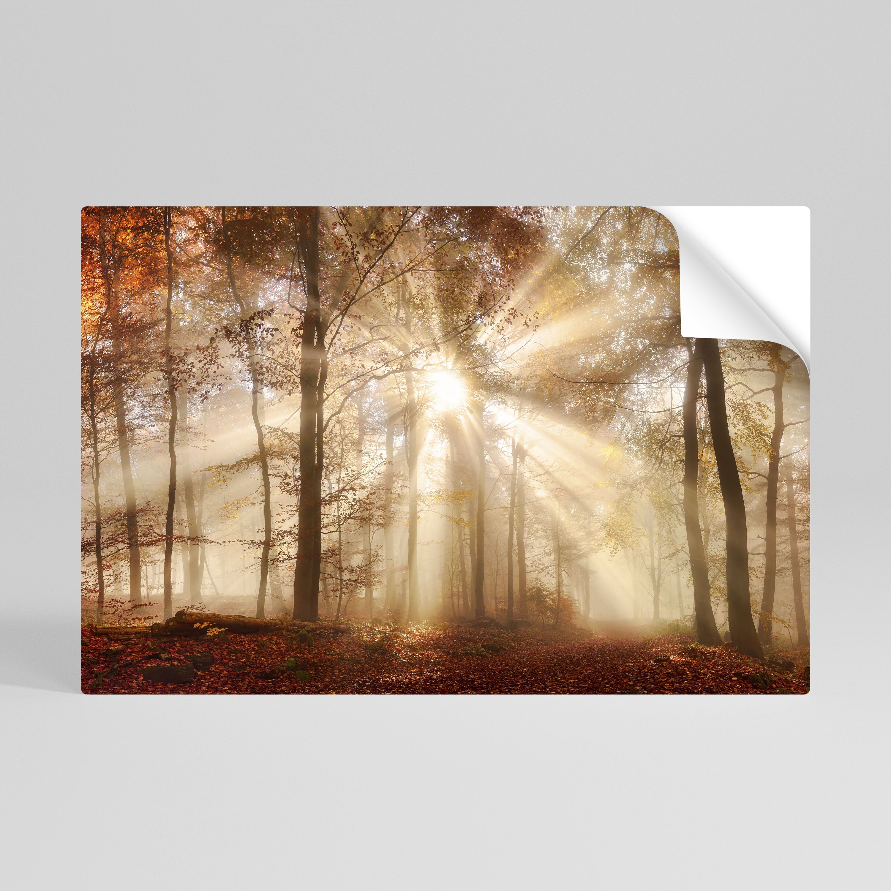 WHISPERS OF AUTUMN Selbstklebendes Horizontal-Poster