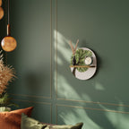 WILDERNESS DASH Ovales Kunstregal in Eiche-Optik