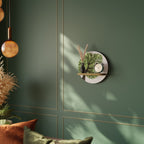 WILDERNESS DASH Rundes Kunstregal in Eiche-Optik