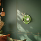 REFRESHING LIME Rundes Kunstregal in Schwarz