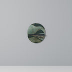 ROYAL GREEN Oval Art Shelf In Black Finish