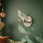 AUTUMN FRAGILITY Oval Art Shelf In Black Finish