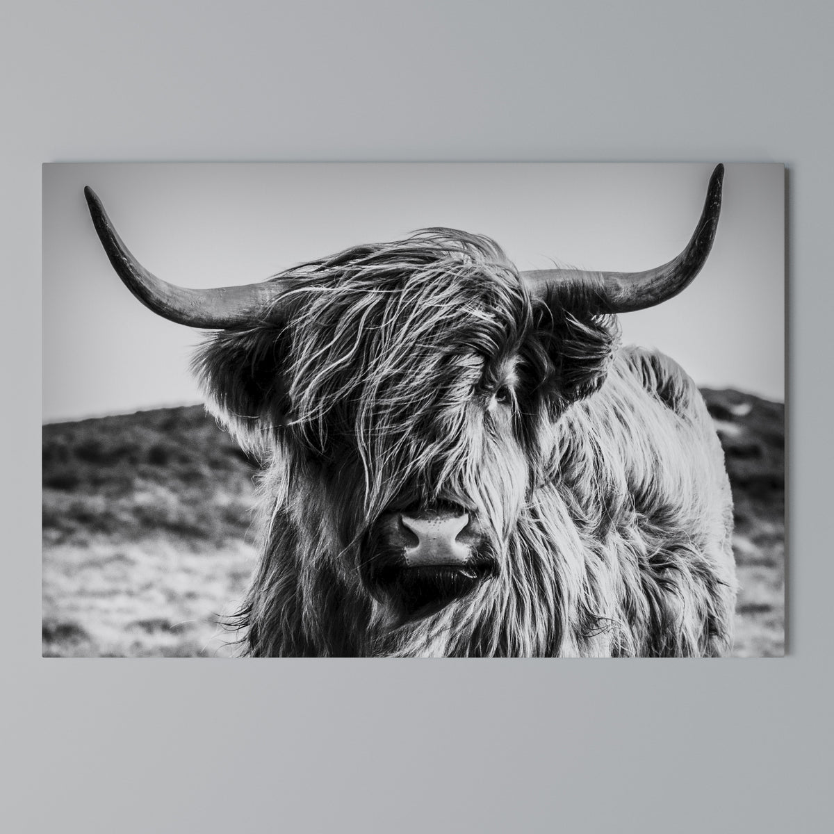 WILD SPIRIT REFLECTED Horizontal Canvas Print