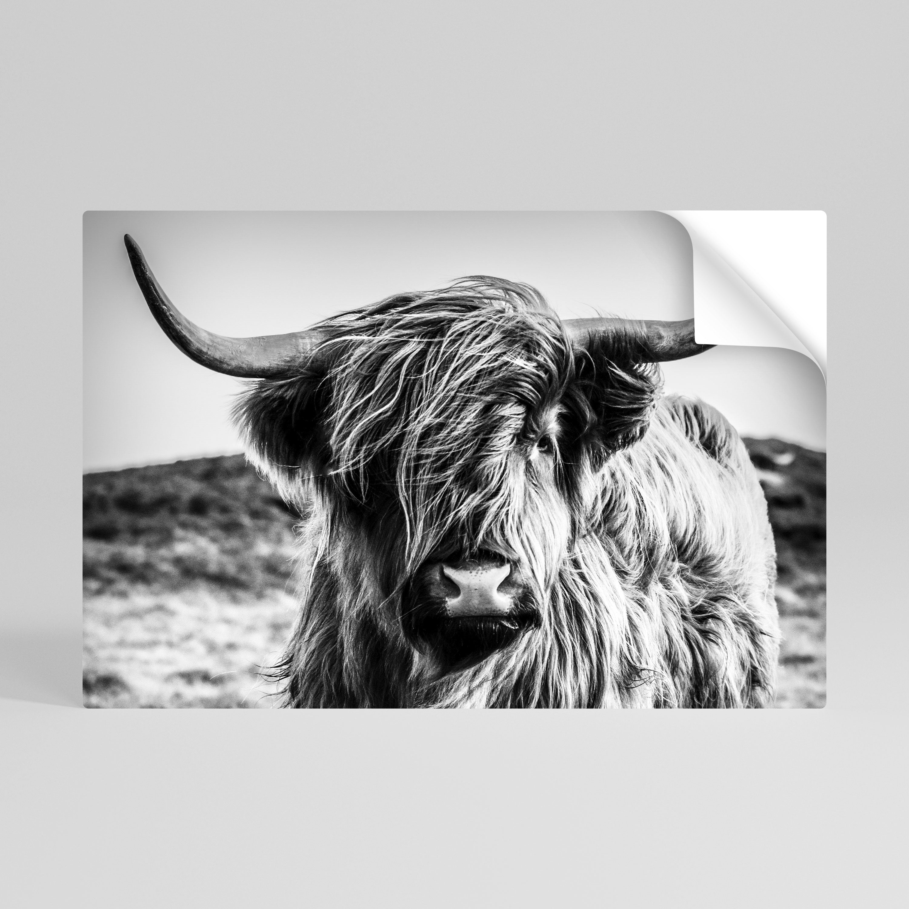 WILD SPIRIT REFLECTED Selbstklebendes Horizontal-Poster