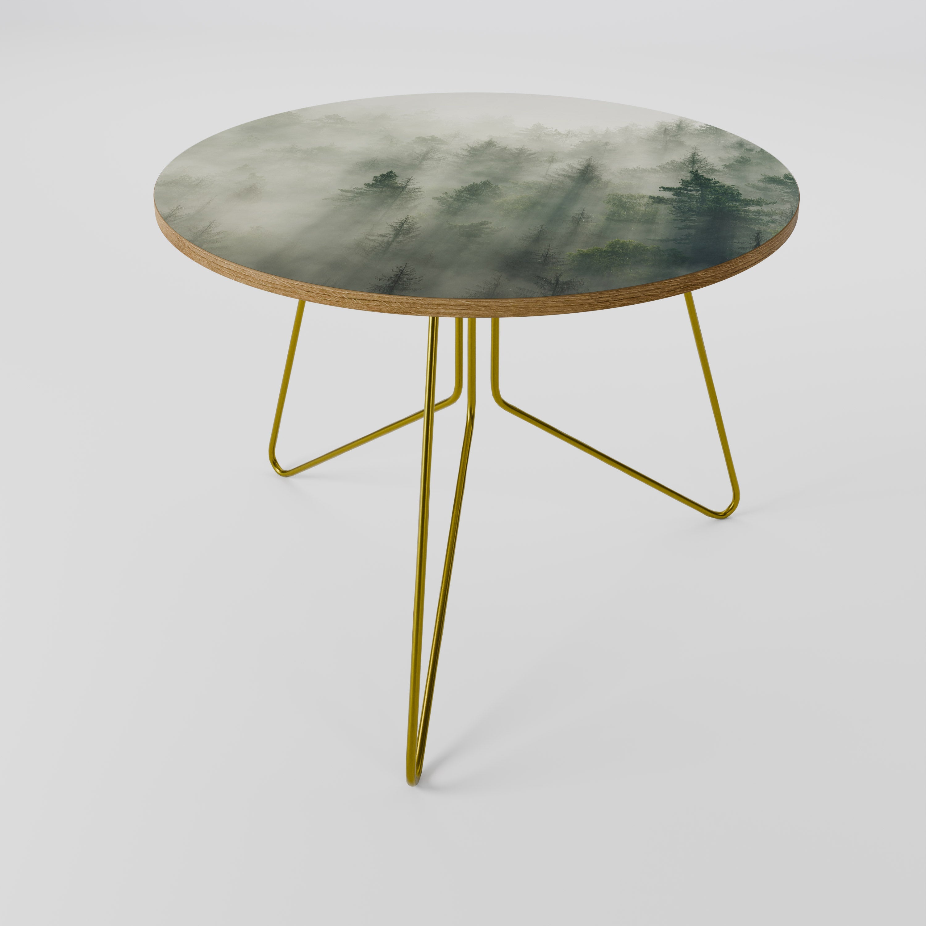 MISTY FOREST Coffee Table 69