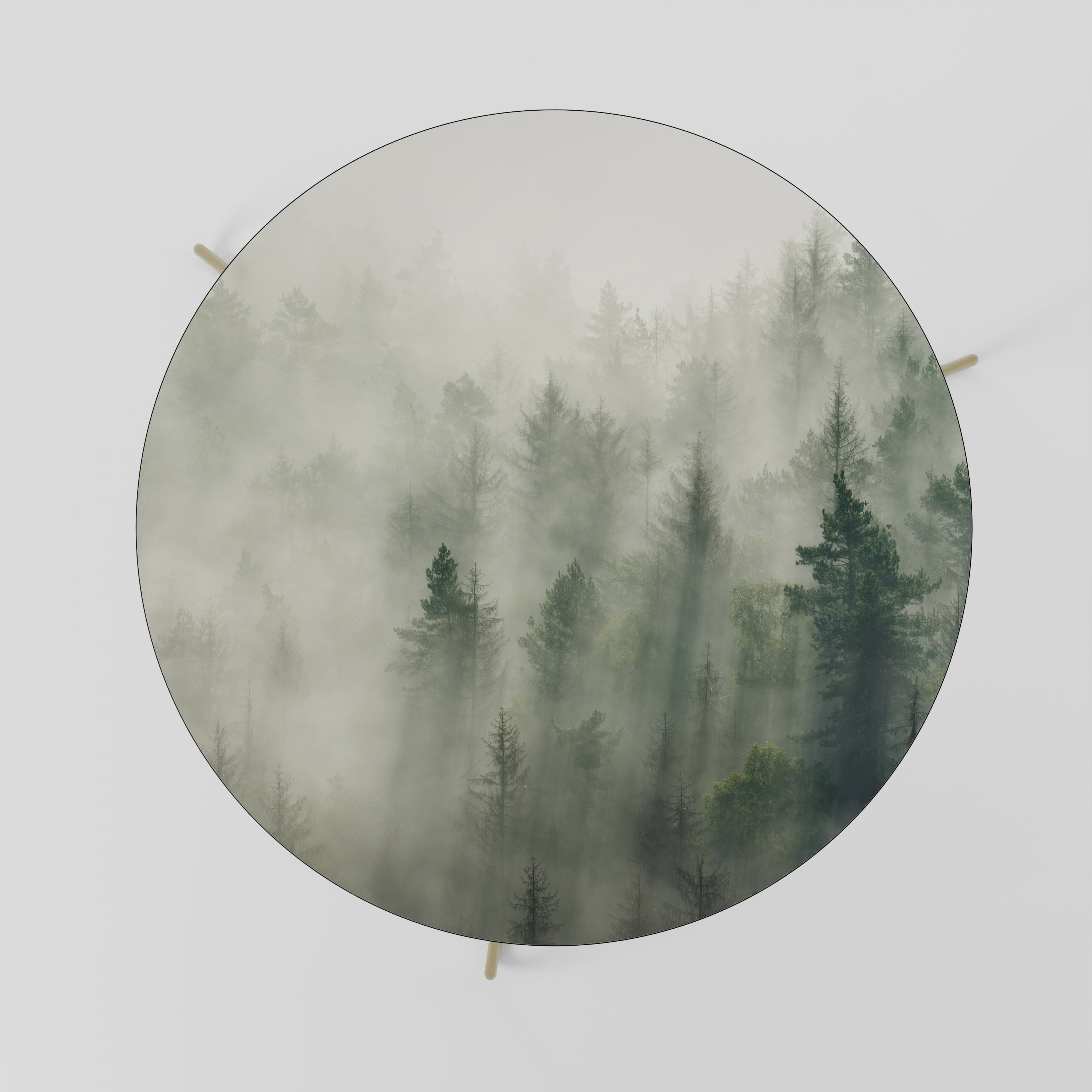 MISTY FOREST Coffee Table 69