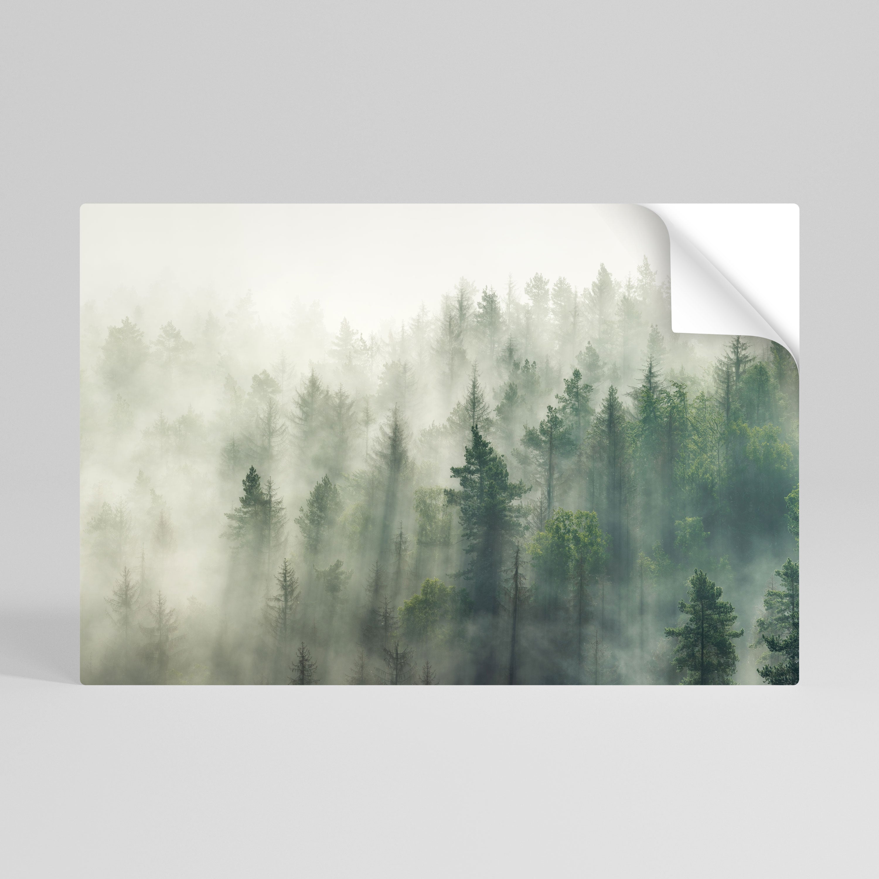 MISTY FOREST Selbstklebendes Horizontal-Poster
