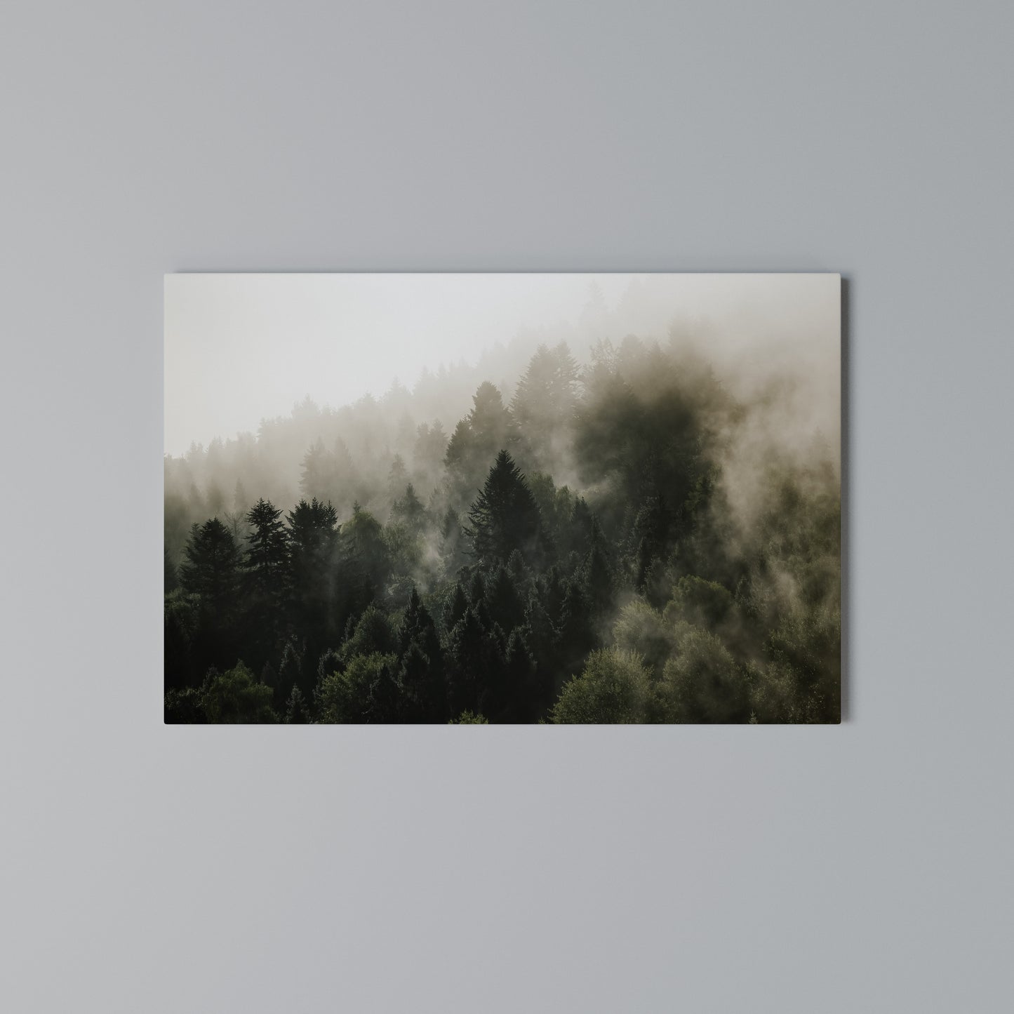MISTY HIGHLANDS Horizontal Canvas Print