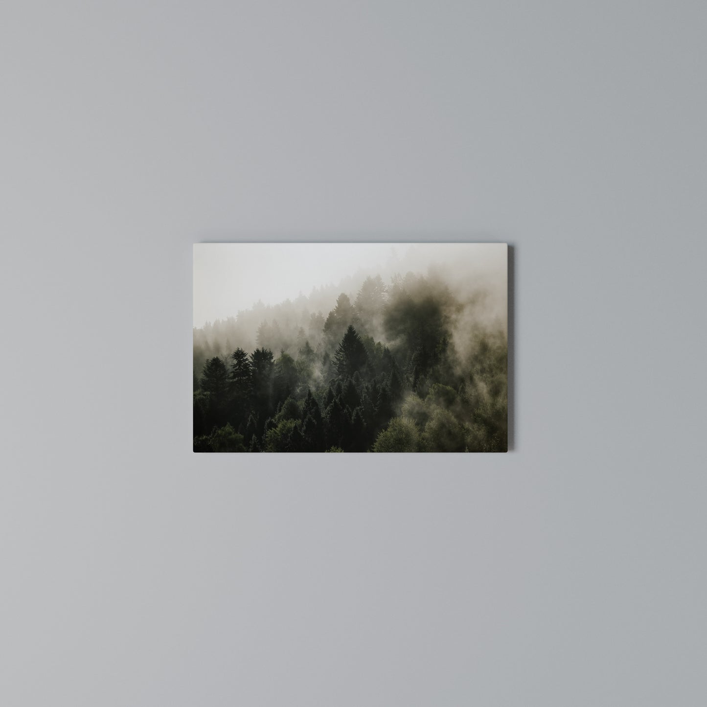 MISTY HIGHLANDS Horizontal Canvas Print