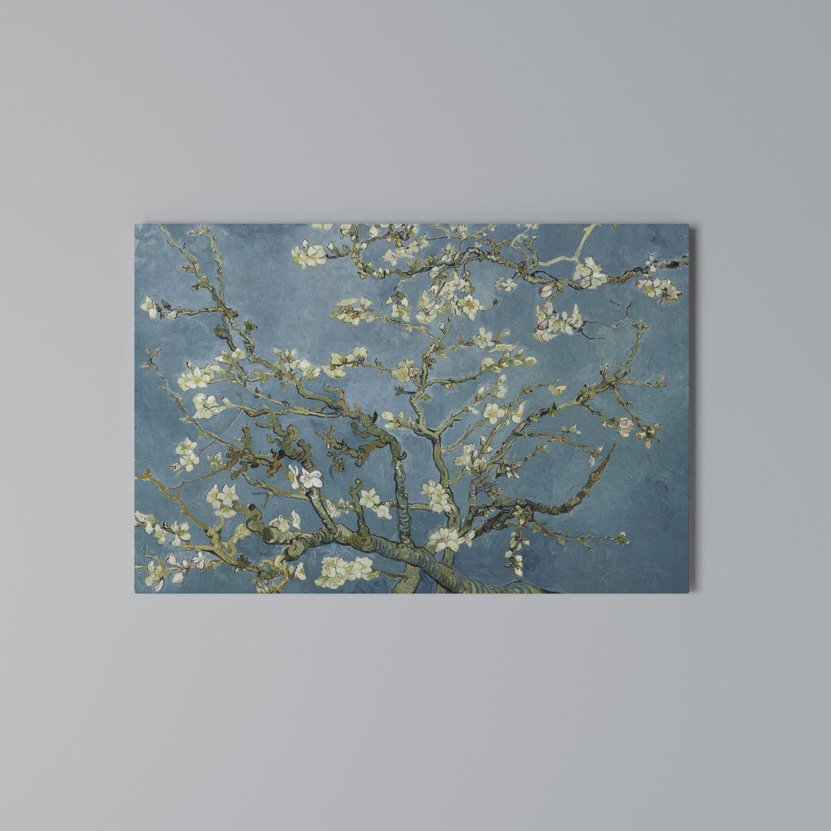 ALMOND BLOSSOM Horizontal Canvas Print