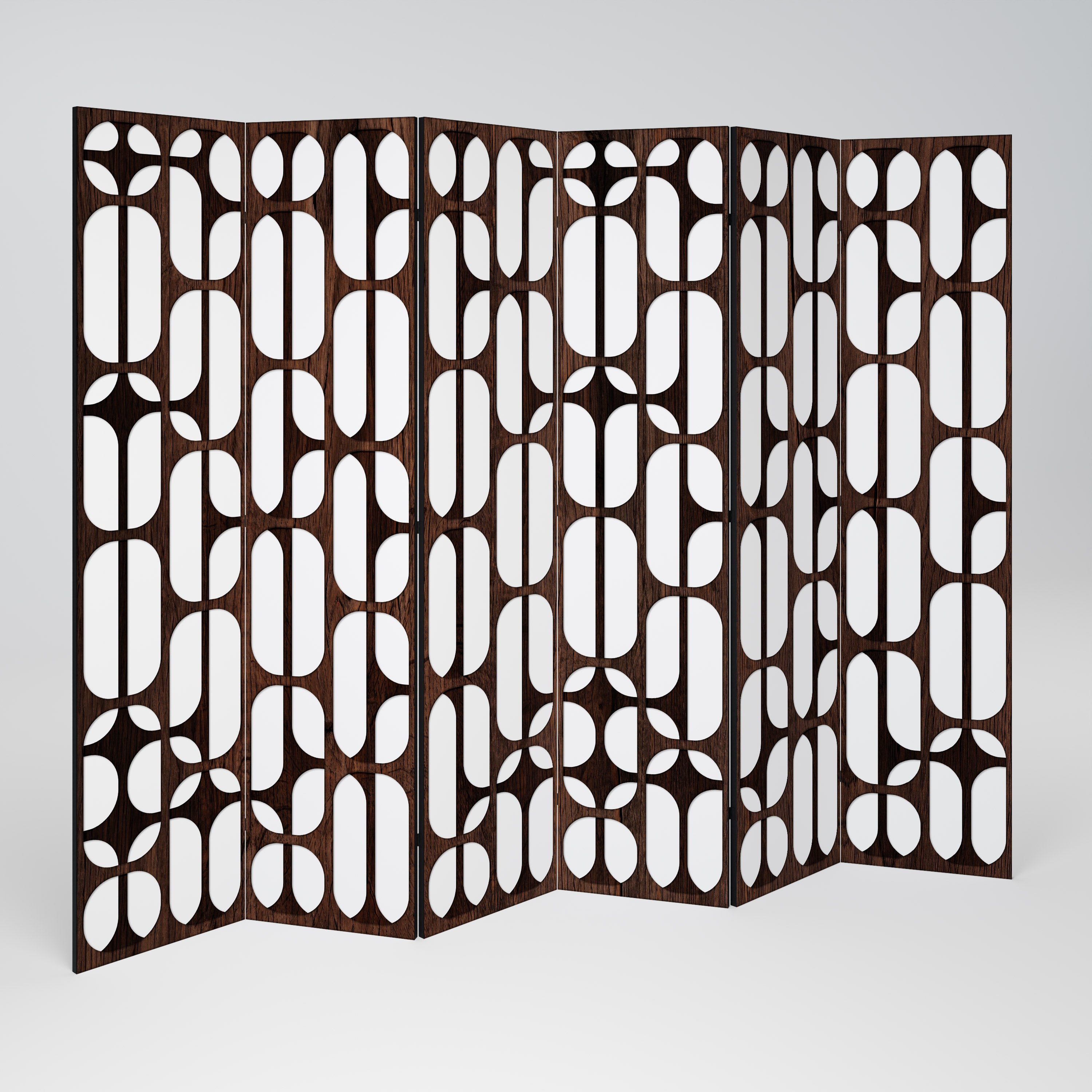 ARTISTIC SPACE HARMONY Decorative 6-Panel Room Divider
