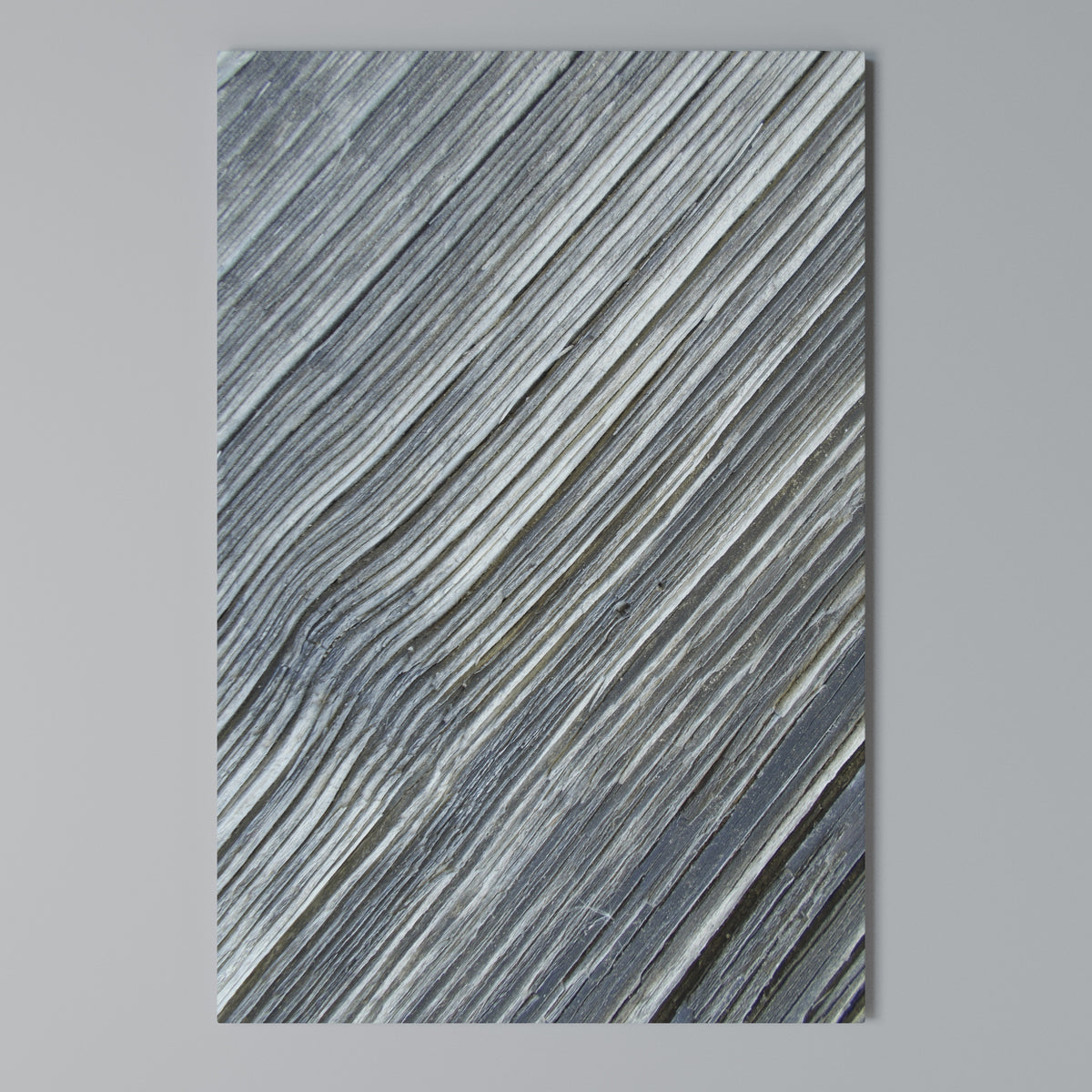 NATURE’S RIBBON RELIC Vertical Canvas Print