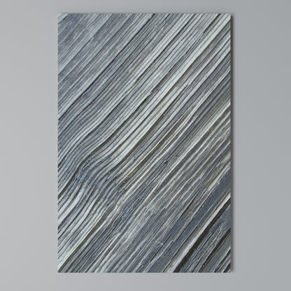 NATURE’S RIBBON RELIC Vertical Canvas Print