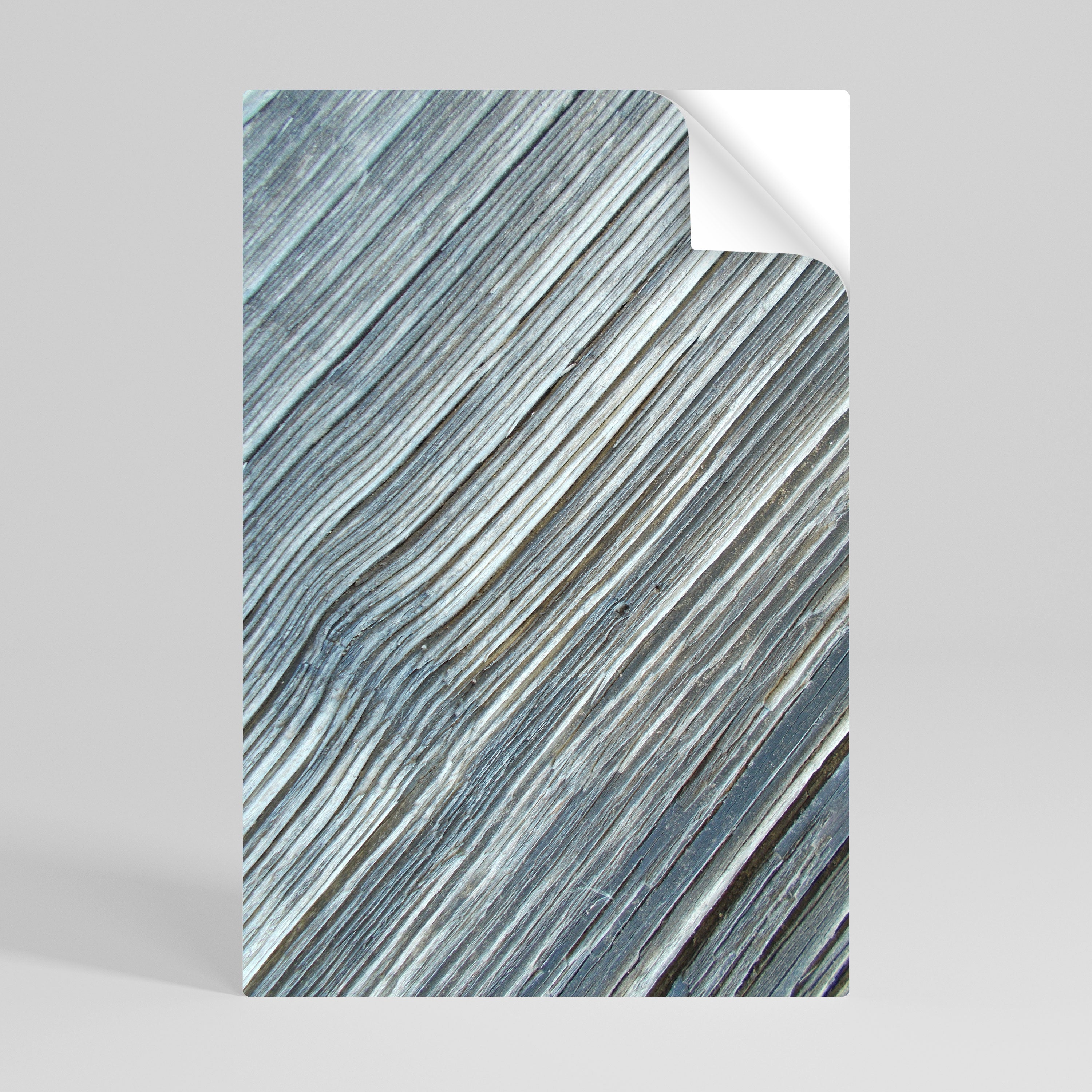 NATURE’S RIBBON RELIC Peel and Stick Vertical Poster