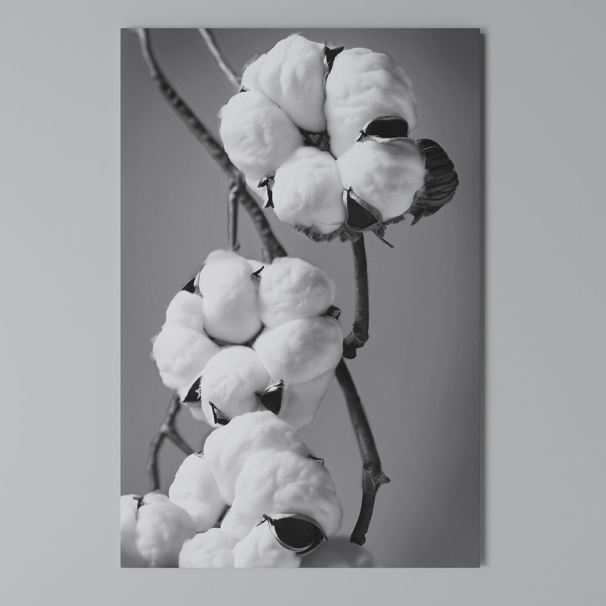 COTTON DREAMSCAPE Vertical Canvas Print