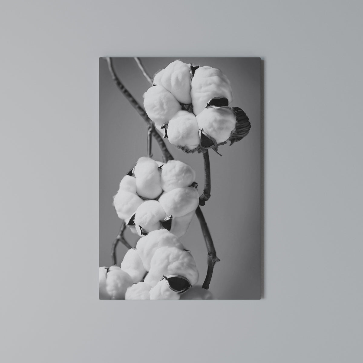 COTTON DREAMSCAPE Vertical Canvas Print