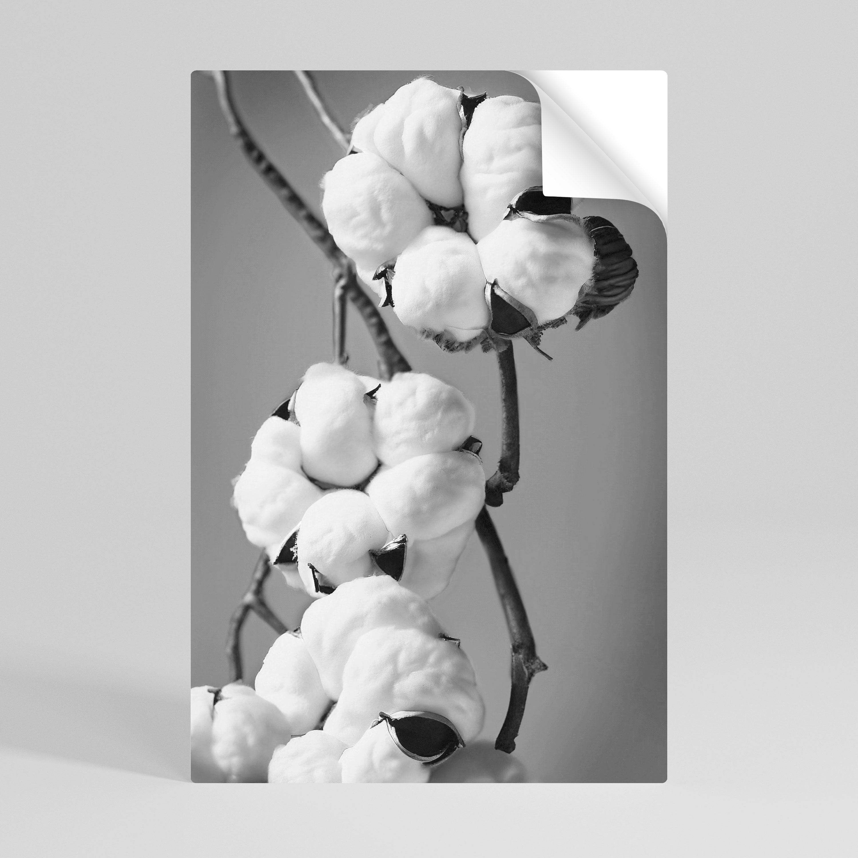 COTTON DREAMSCAPE Vertikales Poster zum Abziehen und Aufkleben