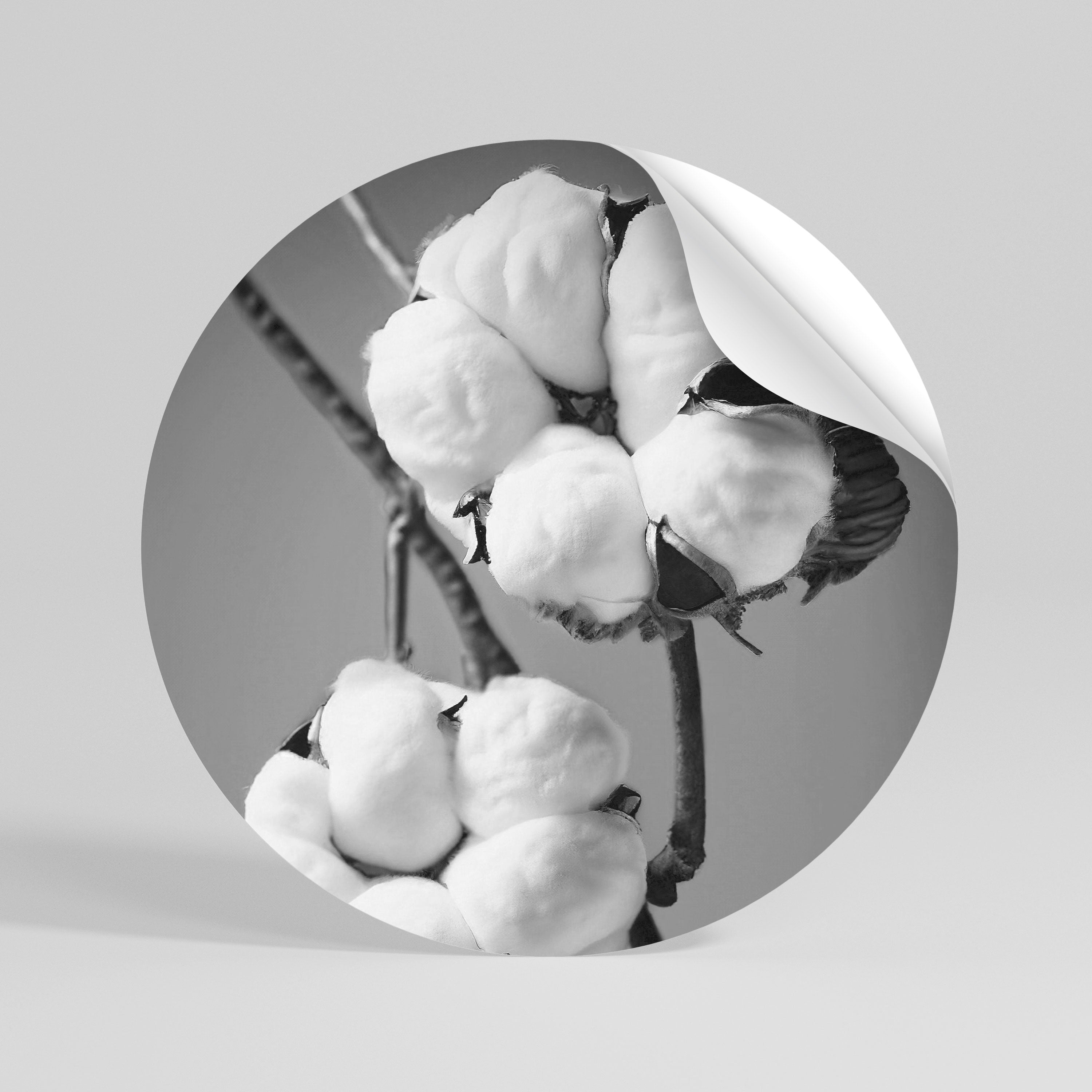 COTTON DREAMSCAPE Peel and Stick Round Sticker