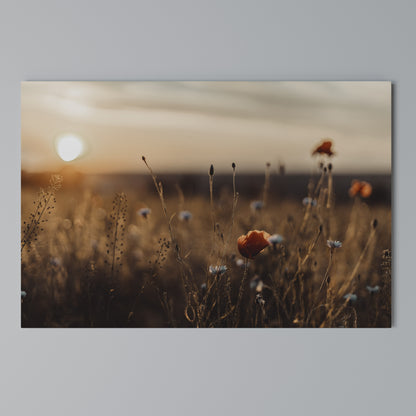 GLOWING MEADOWS AT DUSK Horizontal Canvas Print