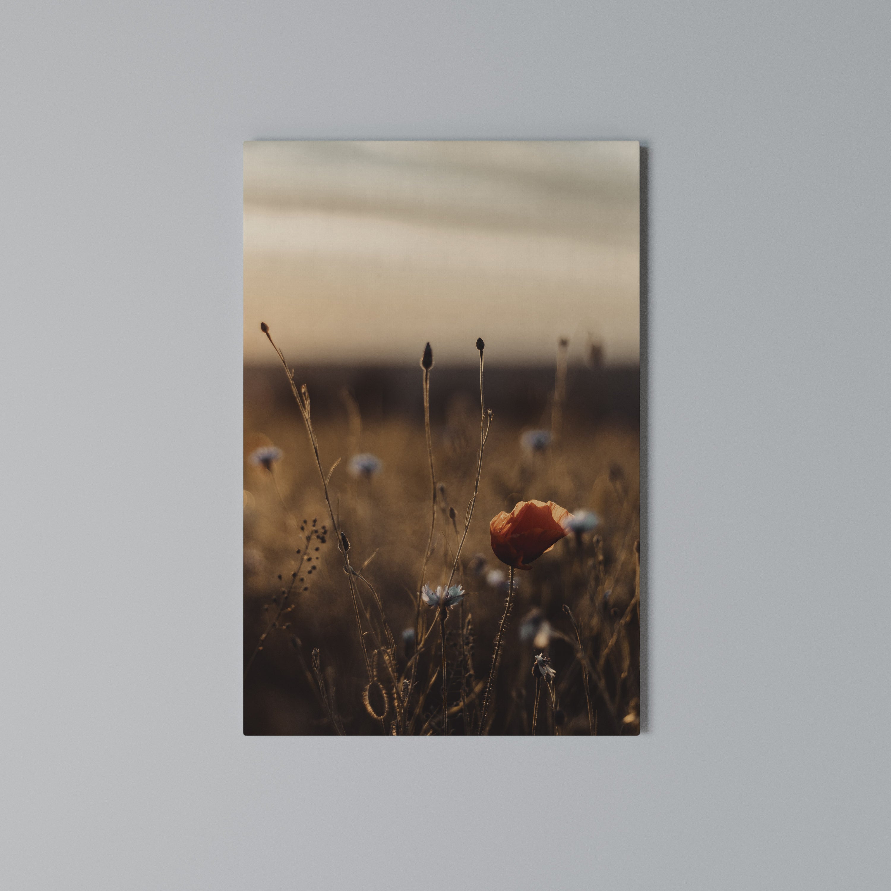 GLOWING MEADOWS AT DUSK Vertical Canvas Print