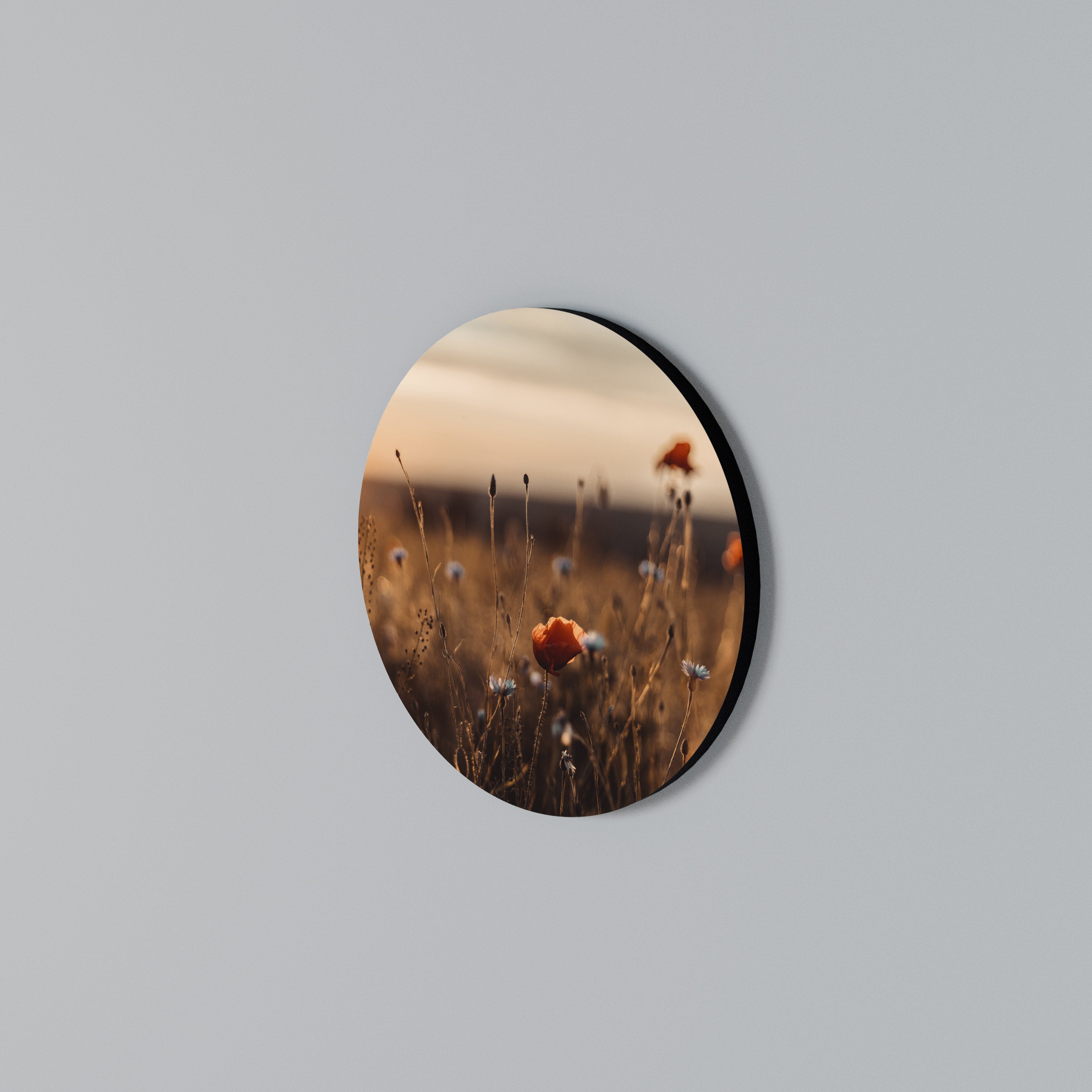 GLOWING MEADOWS AT DUSK Rundes Wandbild