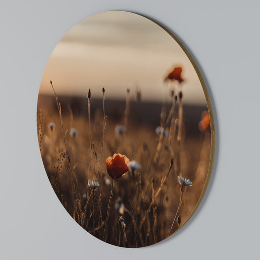 GLOWING MEADOWS AT DUSK Rundes Wandbild