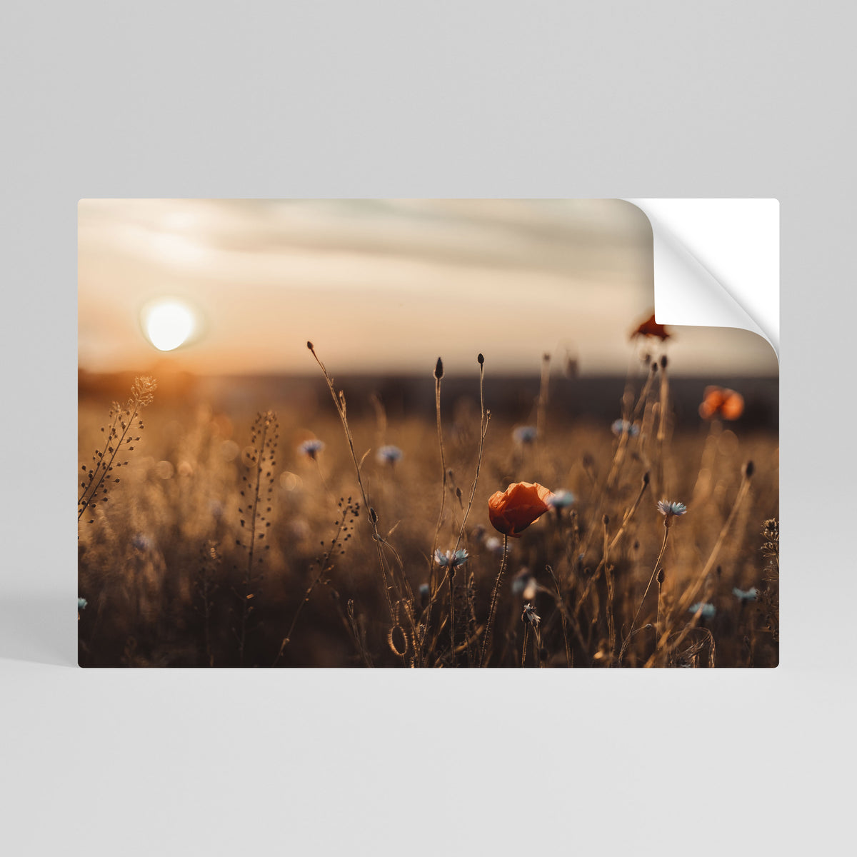 GLOWING MEADOWS AT DUSK Selbstklebendes Horizontal-Poster
