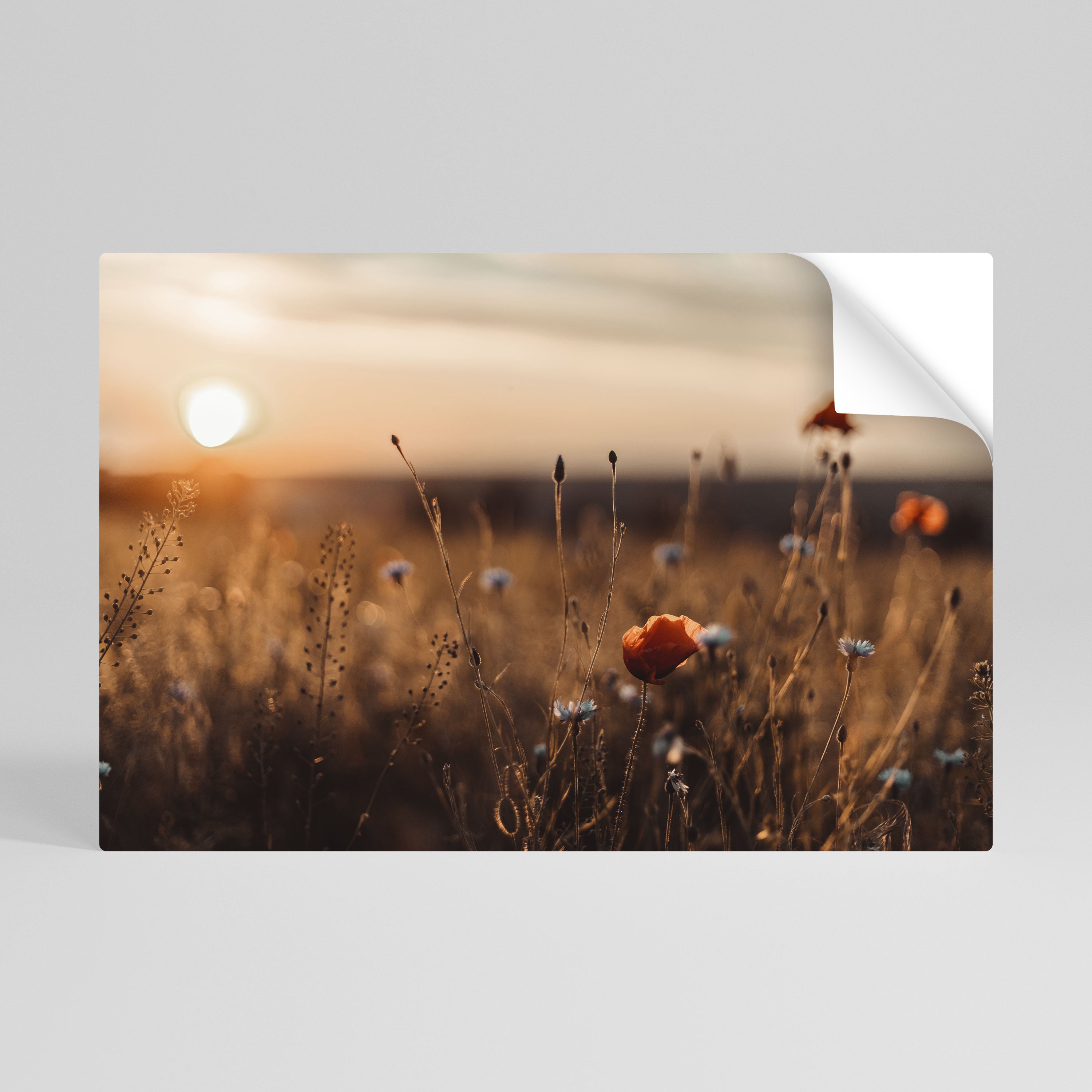 GLOWING MEADOWS AT DUSK Selbstklebendes Horizontal-Poster