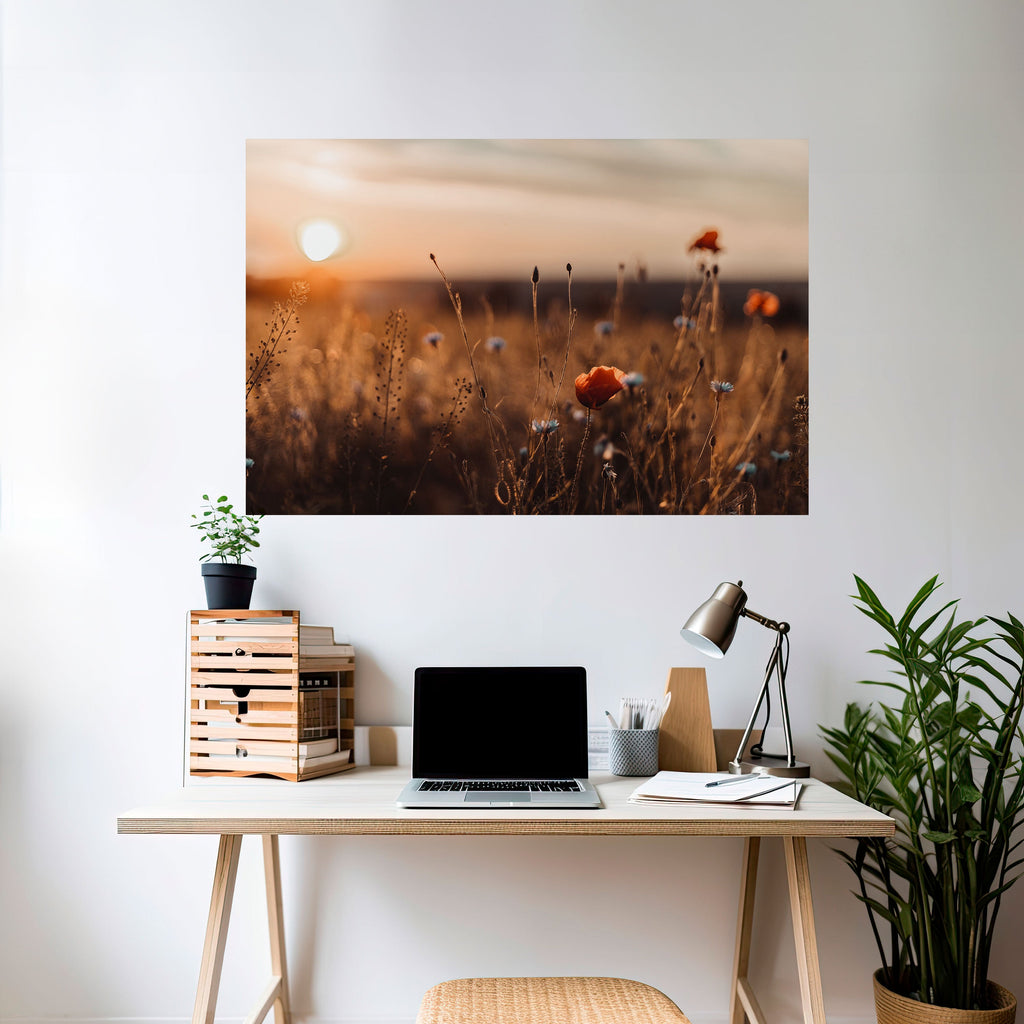 Horizontales Poster „GLOWING MEADOWS AT DUSK“ zum Abziehen und Aufkleben