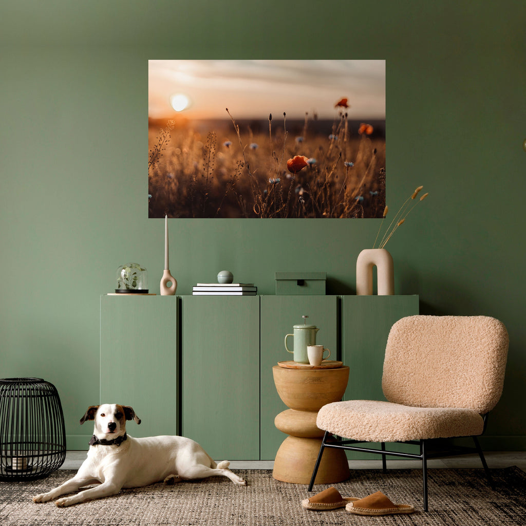 Horizontales Poster „GLOWING MEADOWS AT DUSK“ zum Abziehen und Aufkleben