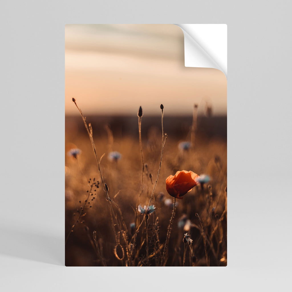 GLOWING MEADOWS AT DUSK Vertikales Poster zum Abziehen und Aufkleben