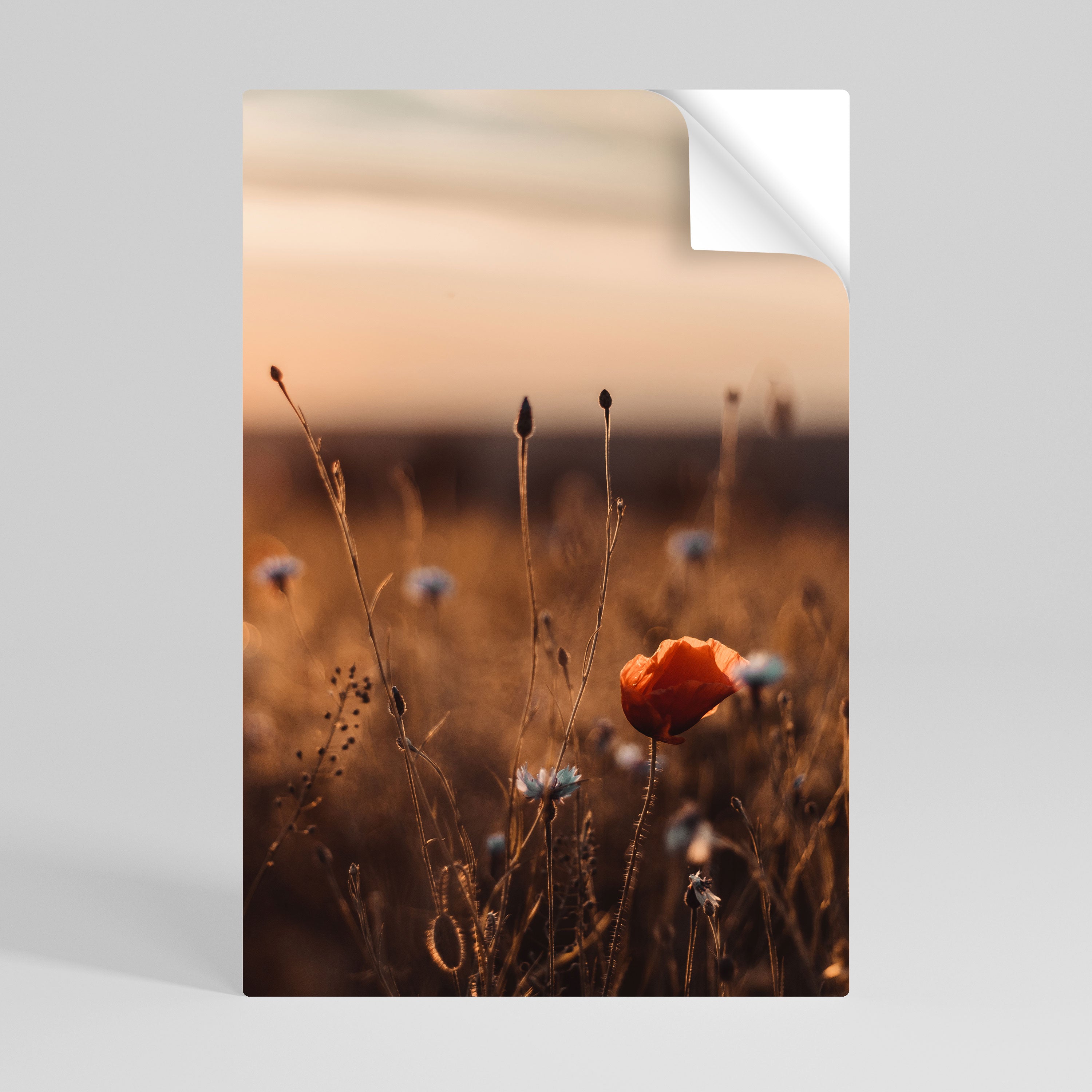 GLOWING MEADOWS AT DUSK Selbstklebendes Poster - Hochformat