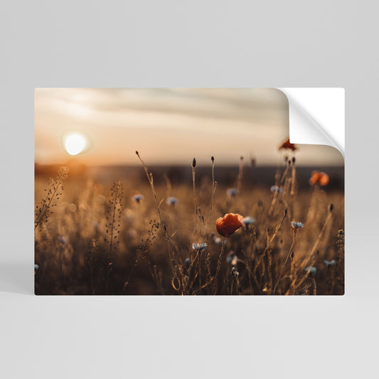 GLOWING MEADOWS AT DUSK Peel and Stick Horizontal Poster