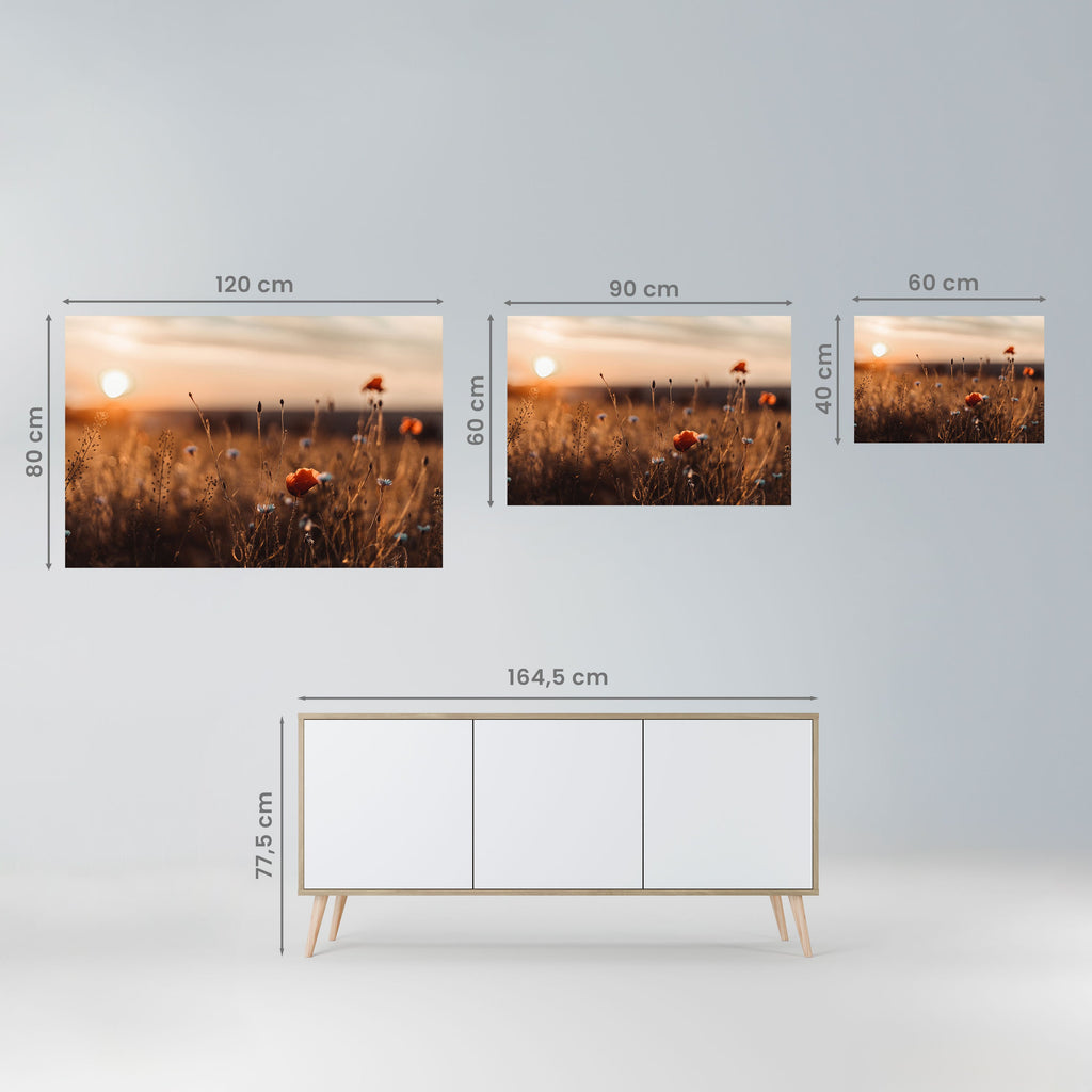 Horizontales Poster „GLOWING MEADOWS AT DUSK“ zum Abziehen und Aufkleben