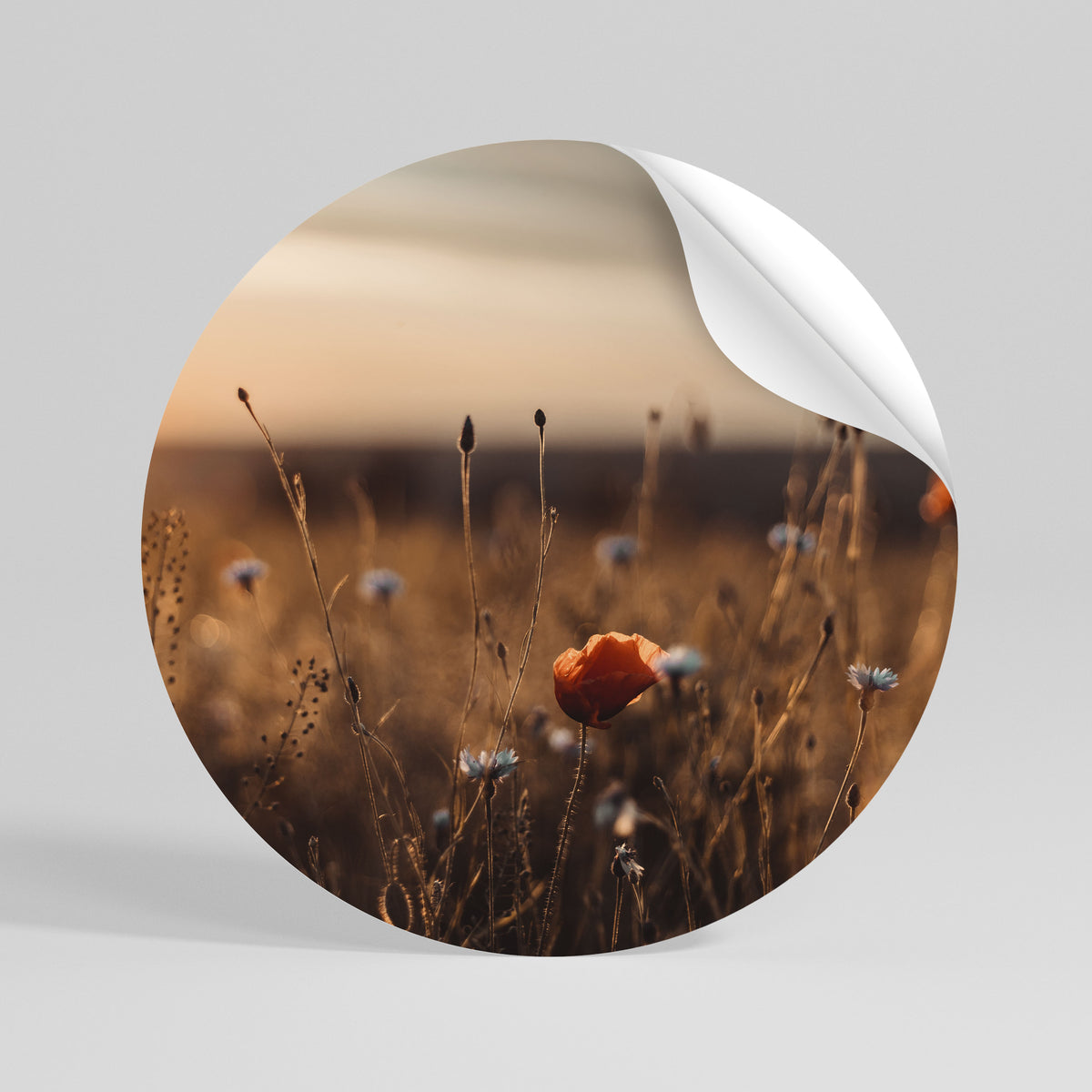 GLOWING MEADOWS AT DUSK Runder Wandsticker zum Abziehen und Aufkleben