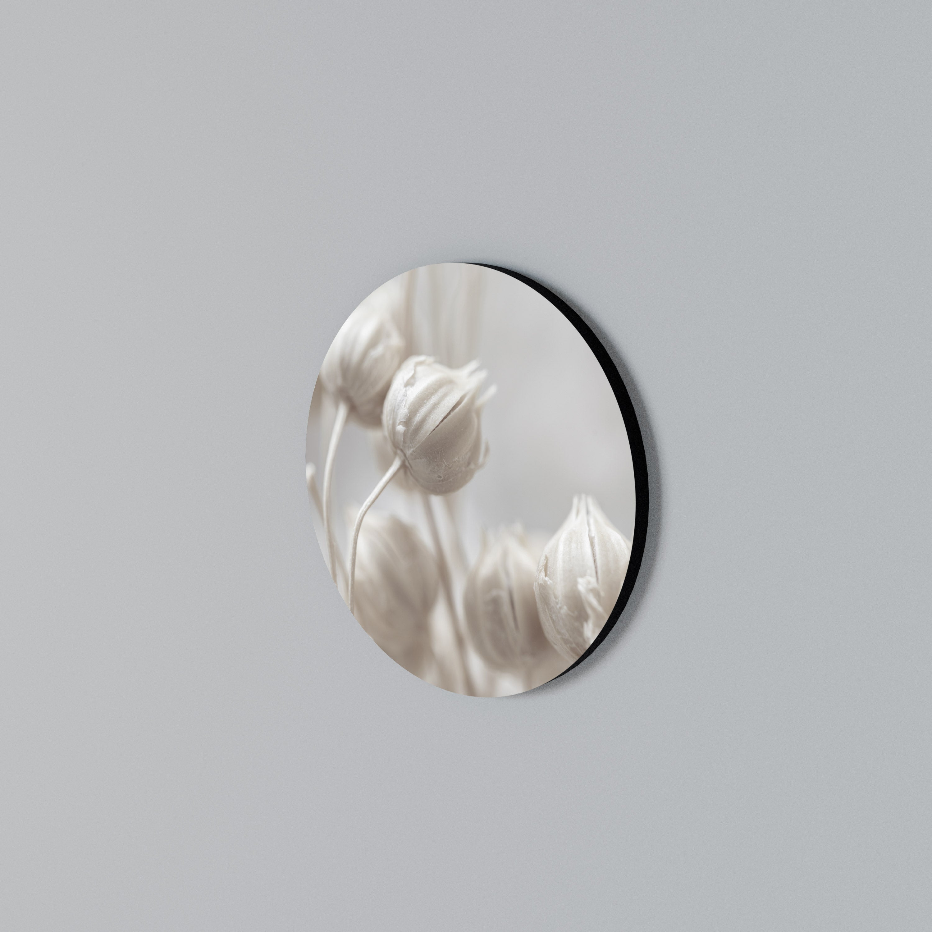 MYSTICAL BOTANICAL BLUSH Rundes Wandbild