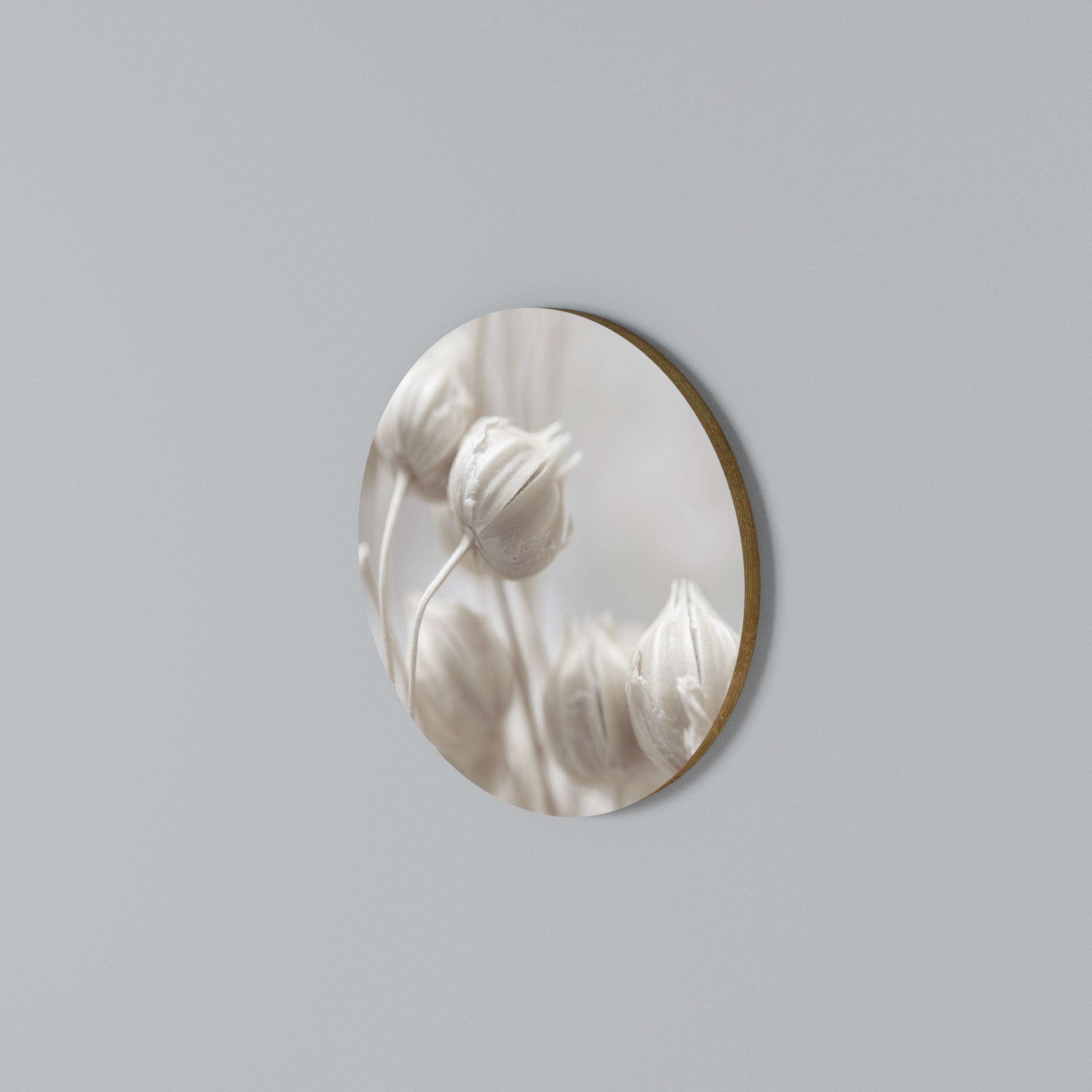 MYSTICAL BOTANICAL BLUSH Rundes Wandbild