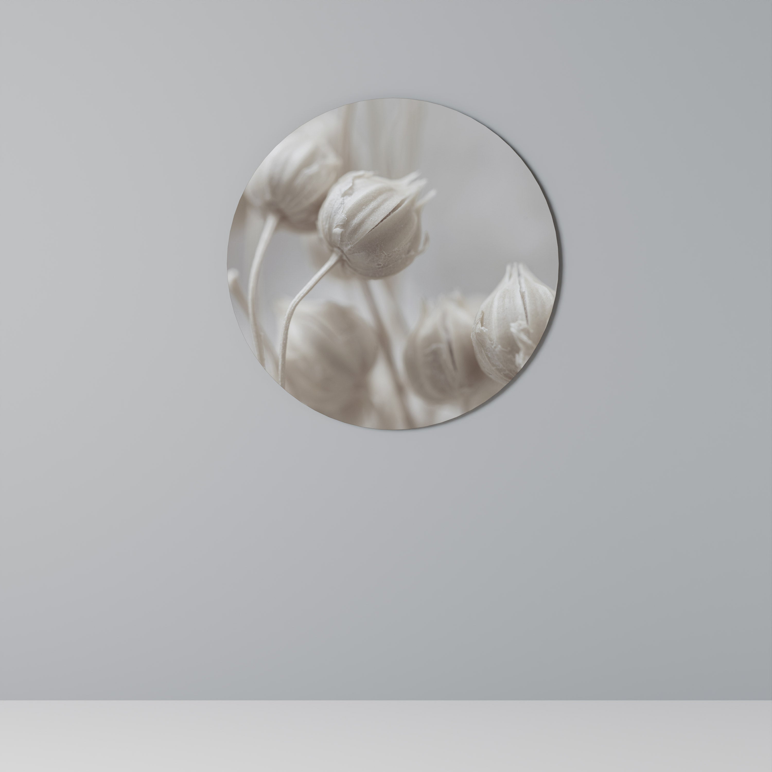 MYSTICAL BOTANICAL BLUSH Runde Wandkunst