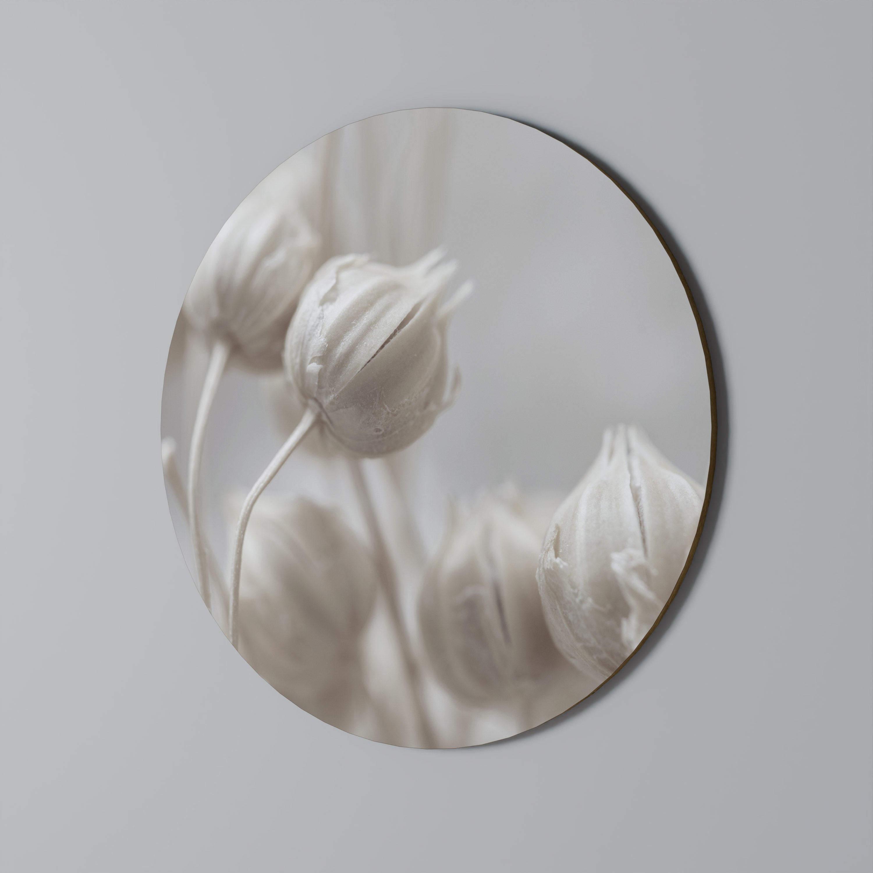 MYSTICAL BOTANICAL BLUSH Runde Wandkunst