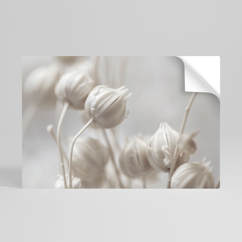 MYSTICAL BOTANICAL BLUSH Horizontales Poster zum Abziehen und Aufkleben