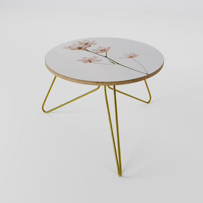 WHISPERS OF PINK Coffee Table