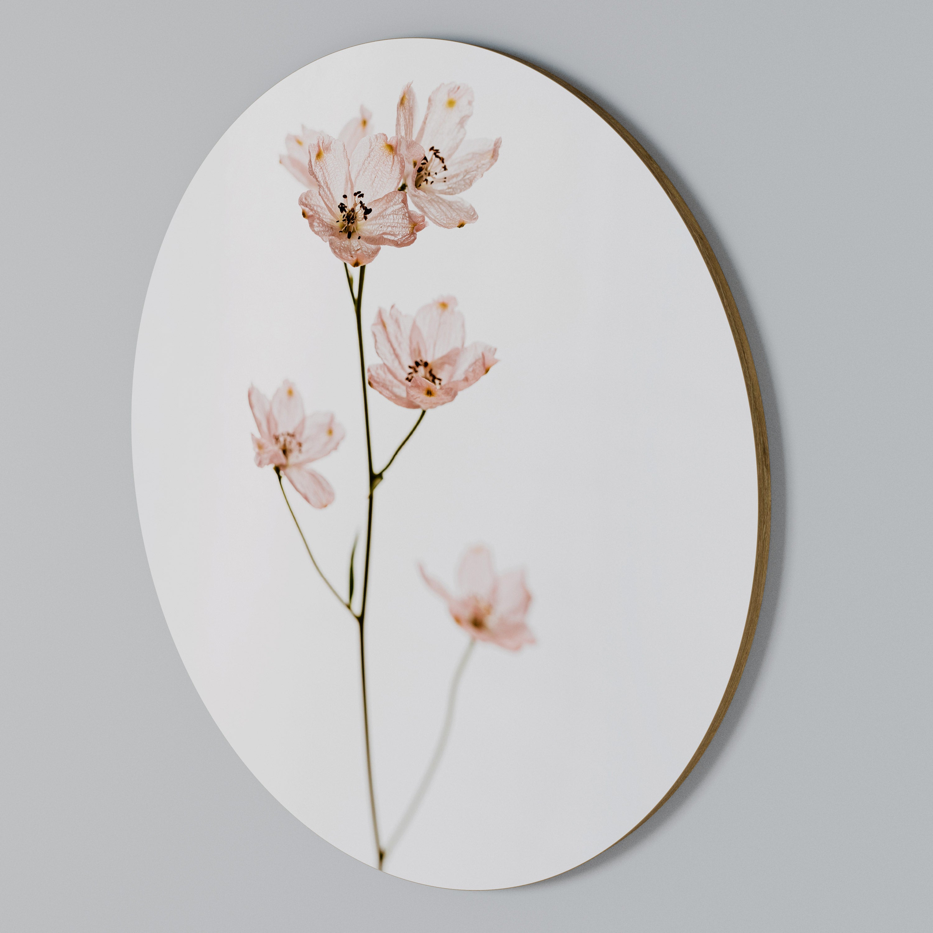 WHISPERS OF PINK Rundes Wandbild