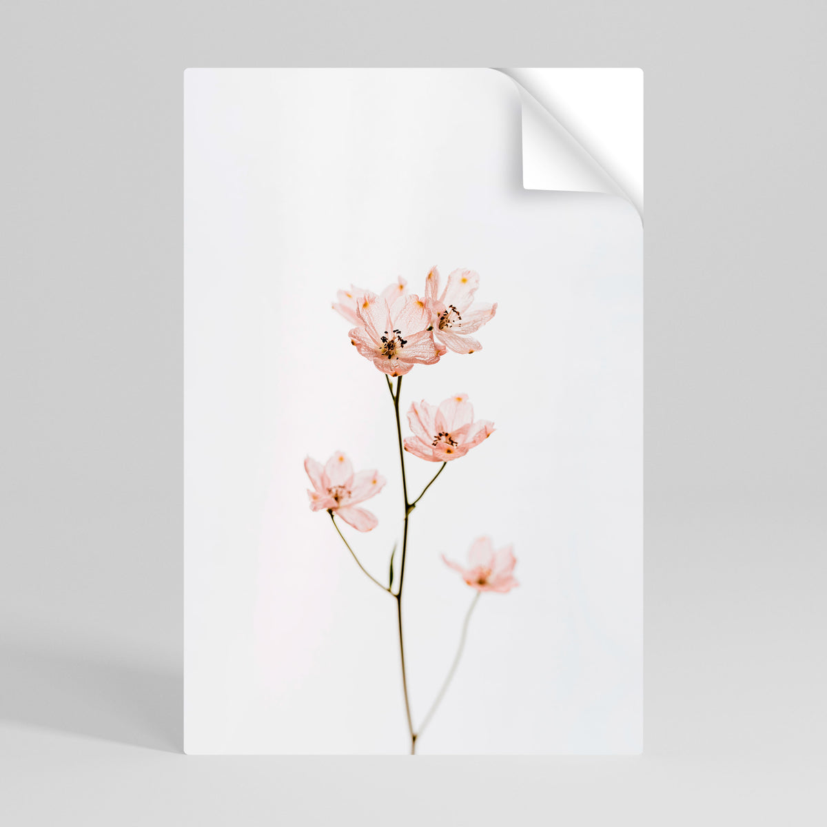 WHISPERS OF PINK Selbstklebendes Poster - Hochformat